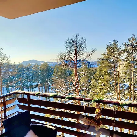 Balkanhill2 S37 Pekovic 公寓 兹拉蒂博尔